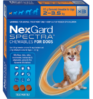 Nexgard spectra for very small dogs (orange box)
