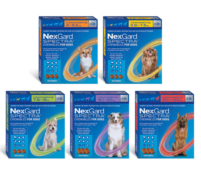 Nexgard Spectra Dog Range Pack NZ