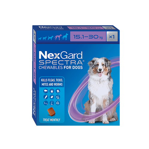 NexGard Spectra Dog Large 1pk