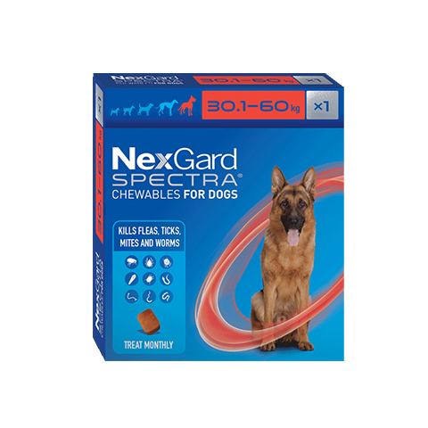 NexGard Spectra Dog XLarge 1pk